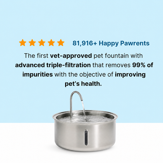 FreshFlow Stainless Steel Cat Water Fountain
