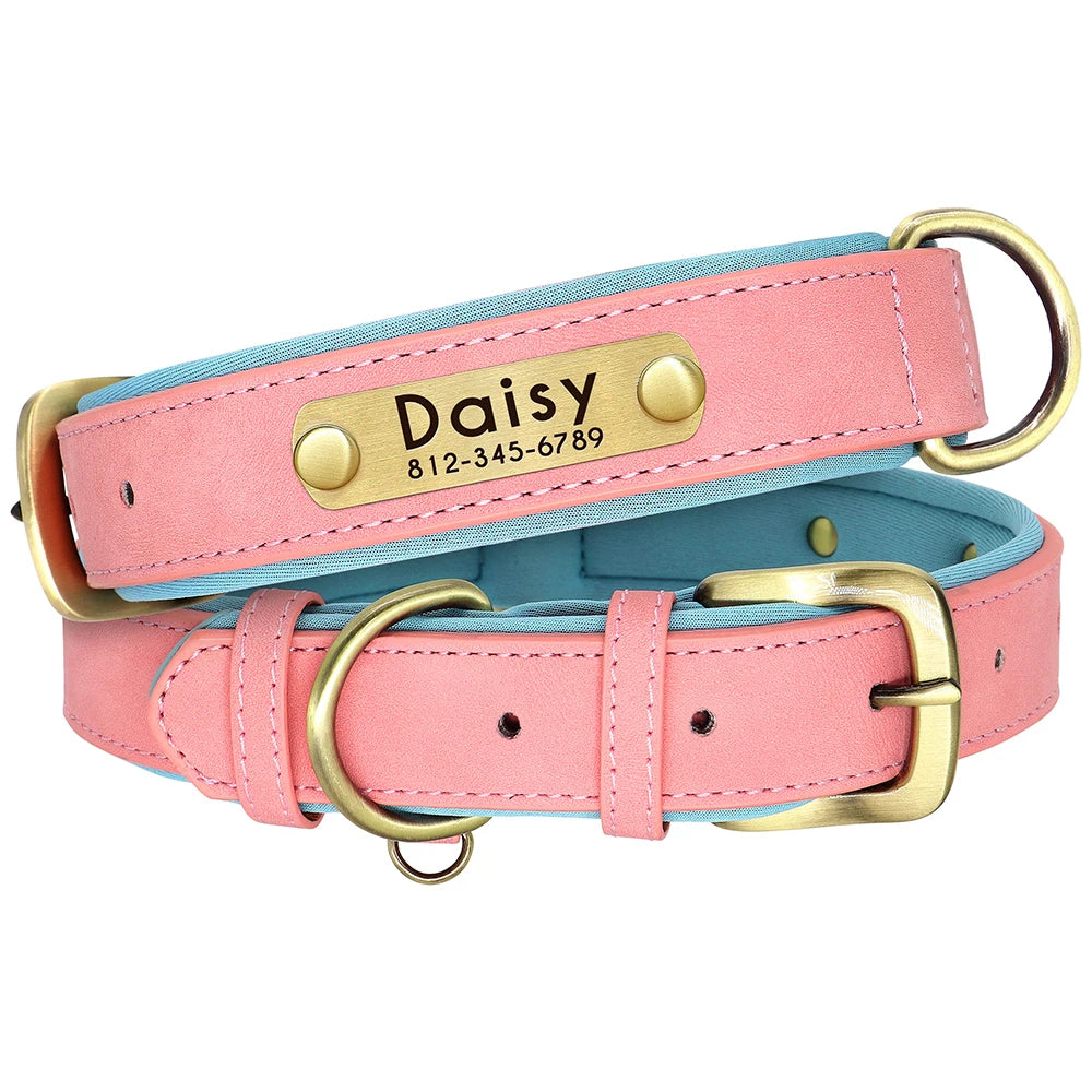 Customized Leather Dog Collar