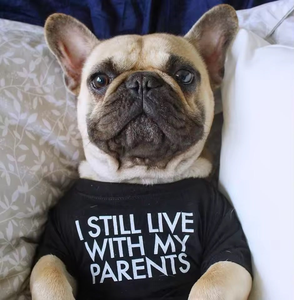 Breathable Summer Dog T-Shirt – Soft Letter Print for Small Dogs