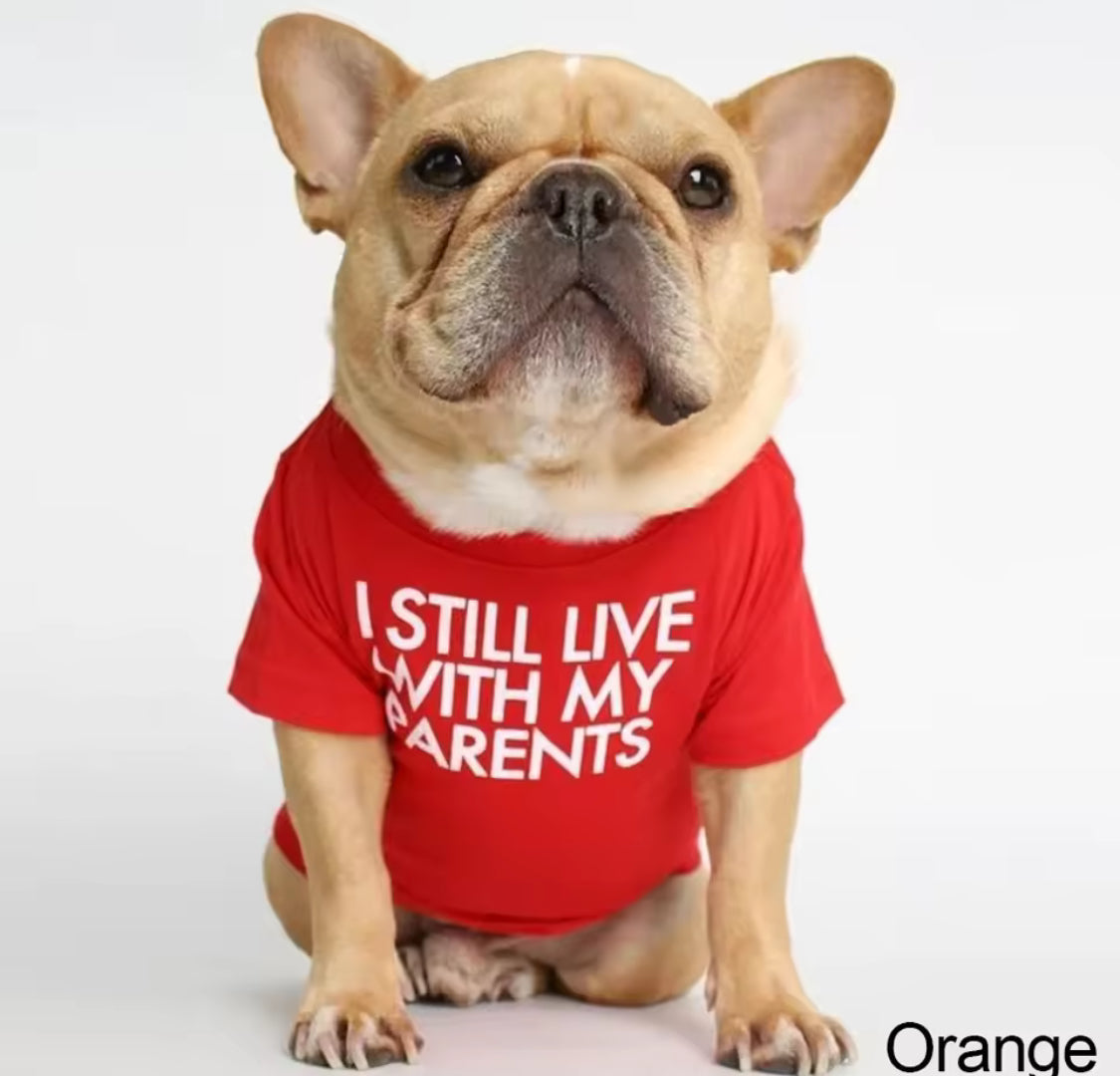 Breathable Summer Dog T-Shirt – Soft Letter Print for Small Dogs