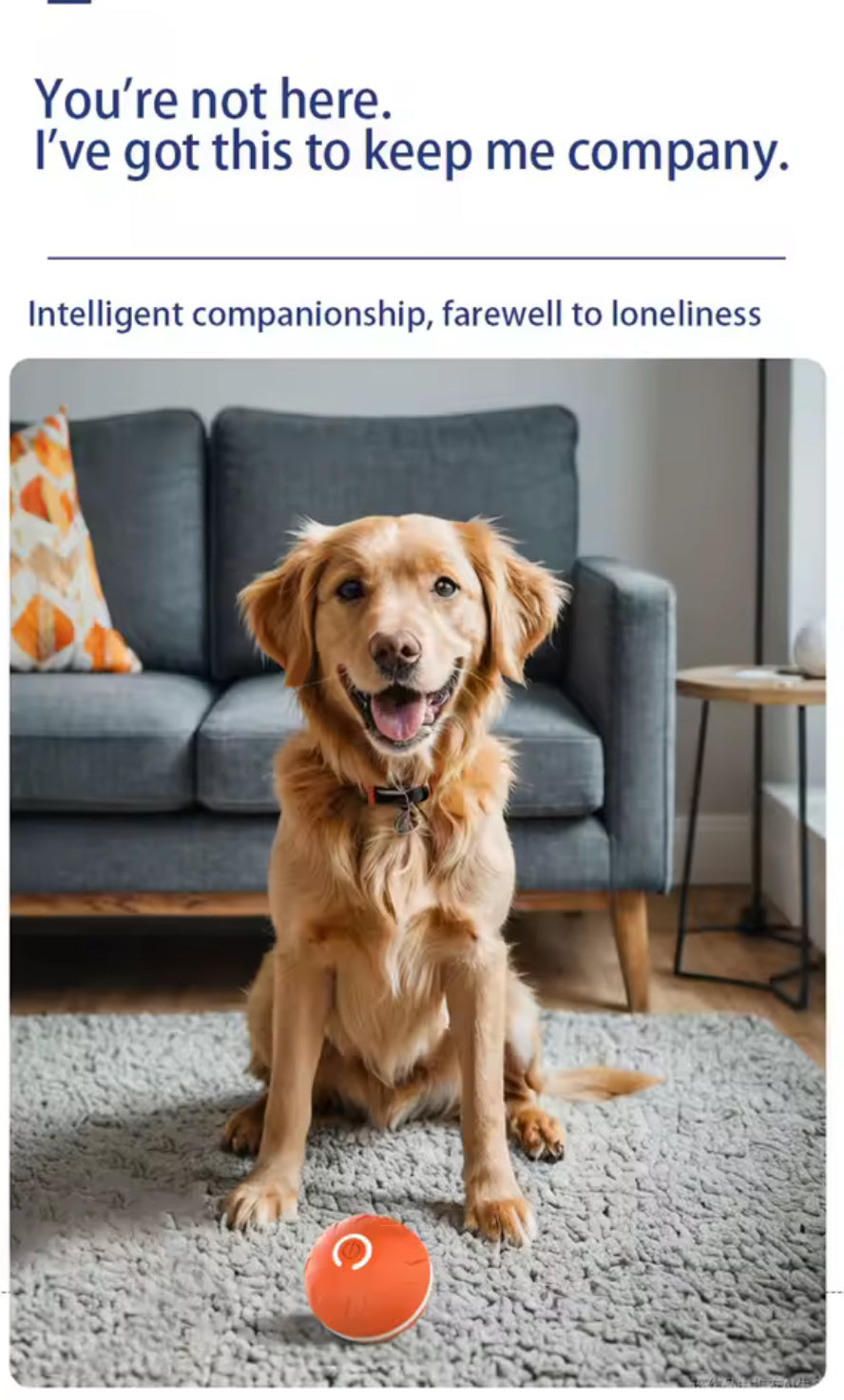 Xiaomi Smart Gravity Bounce Ball Interactive Dog Toy Ball with Auto Jumping & Rolling – Long Battery Life