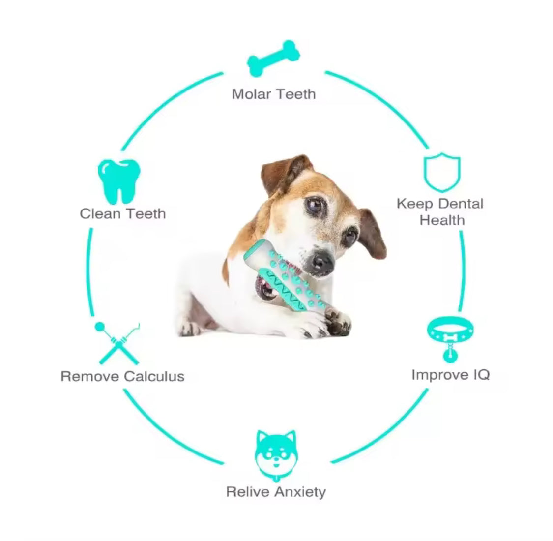 Dog Dental Chew Toy – Teeth Cleaning Stick & Chewable Bone for Fresh Breath and Oral Care