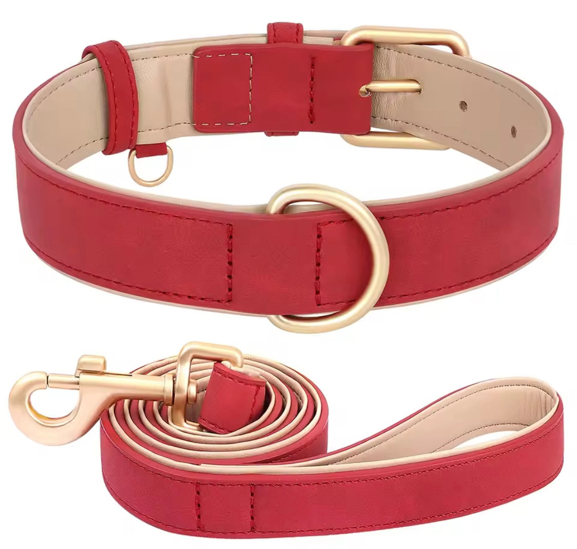 Soft Padded PU Leather Dog Collar & Leash Set for Small Dogs