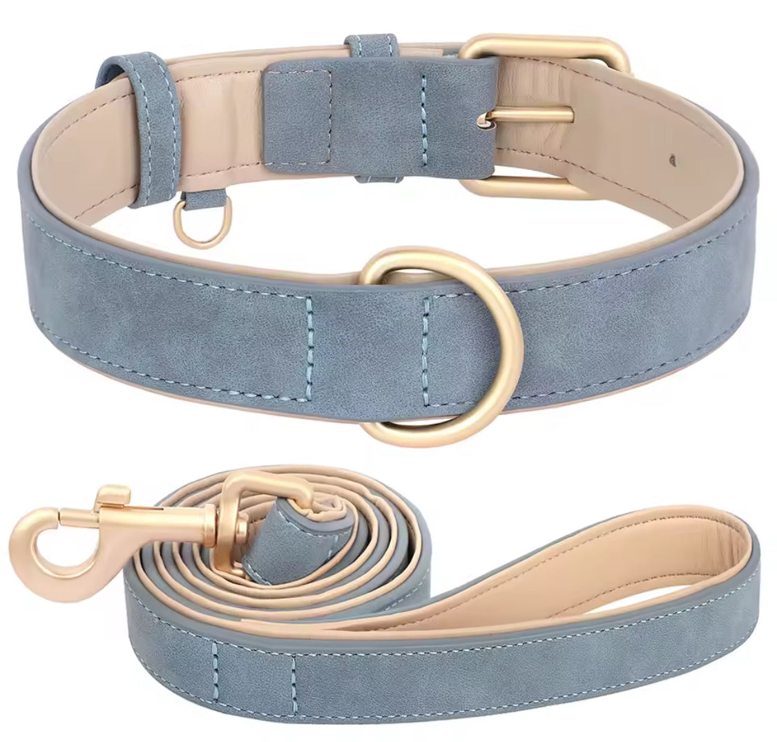 Soft Padded PU Leather Dog Collar & Leash Set for Small Dogs