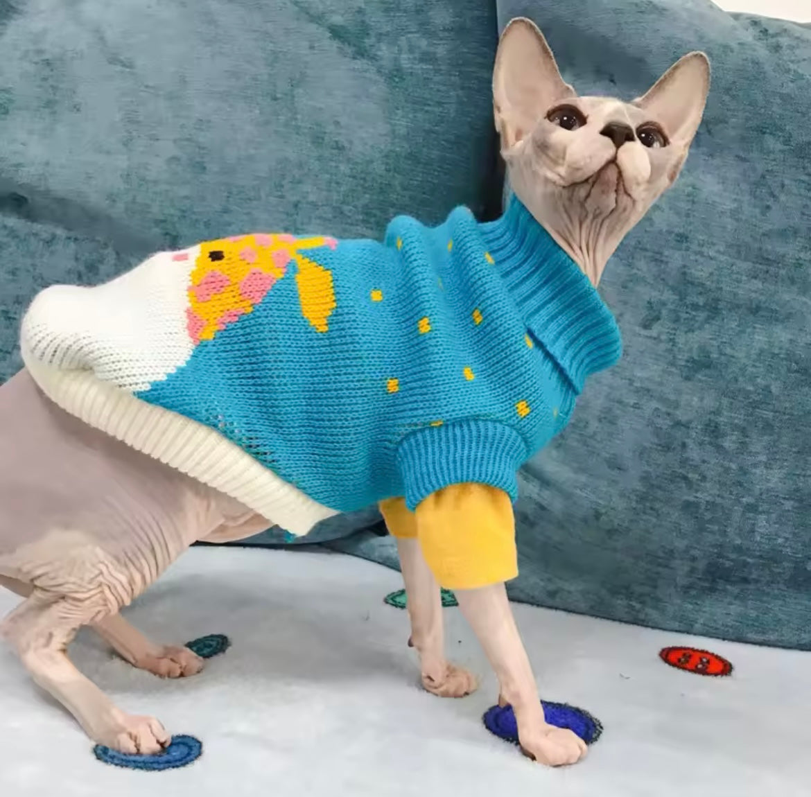 Cute Winter Cat Sweater Warm Sphynx Pullover Cozy Pet Clothes for Cats