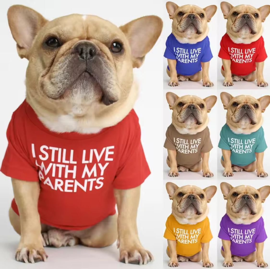Breathable Summer Dog T-Shirt – Soft Letter Print for Small Dogs