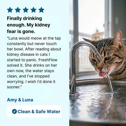 FreshFlow Stainless Steel Cat Water Fountain