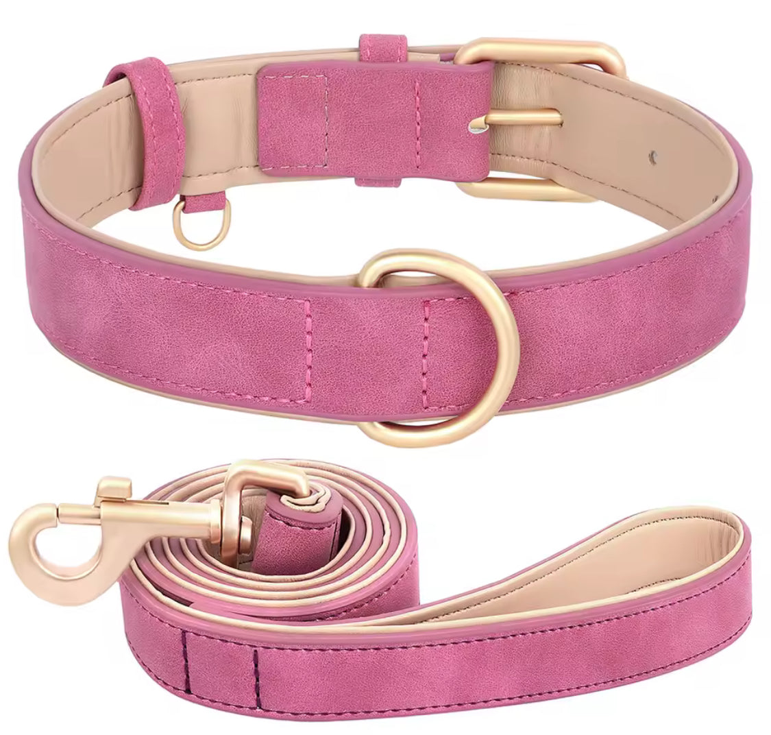 Soft Padded PU Leather Dog Collar & Leash Set for Small Dogs