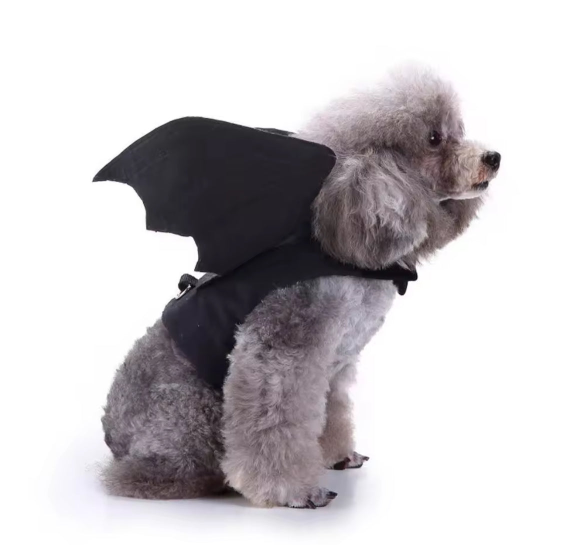 Halloween Bat Wings for Dogs  Cute Pet Costume Small, Medium, Large