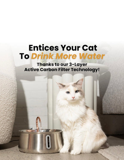FreshFlow Stainless Steel Cat Water Fountain