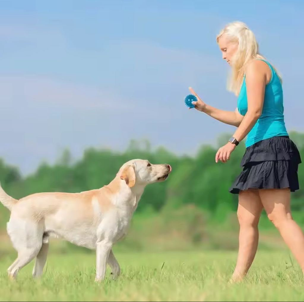 Random Color Squeaky Thorn Ball – Dog & Cat Chew Toy | Teeth Cleaning & Training Ball (TPR Material)