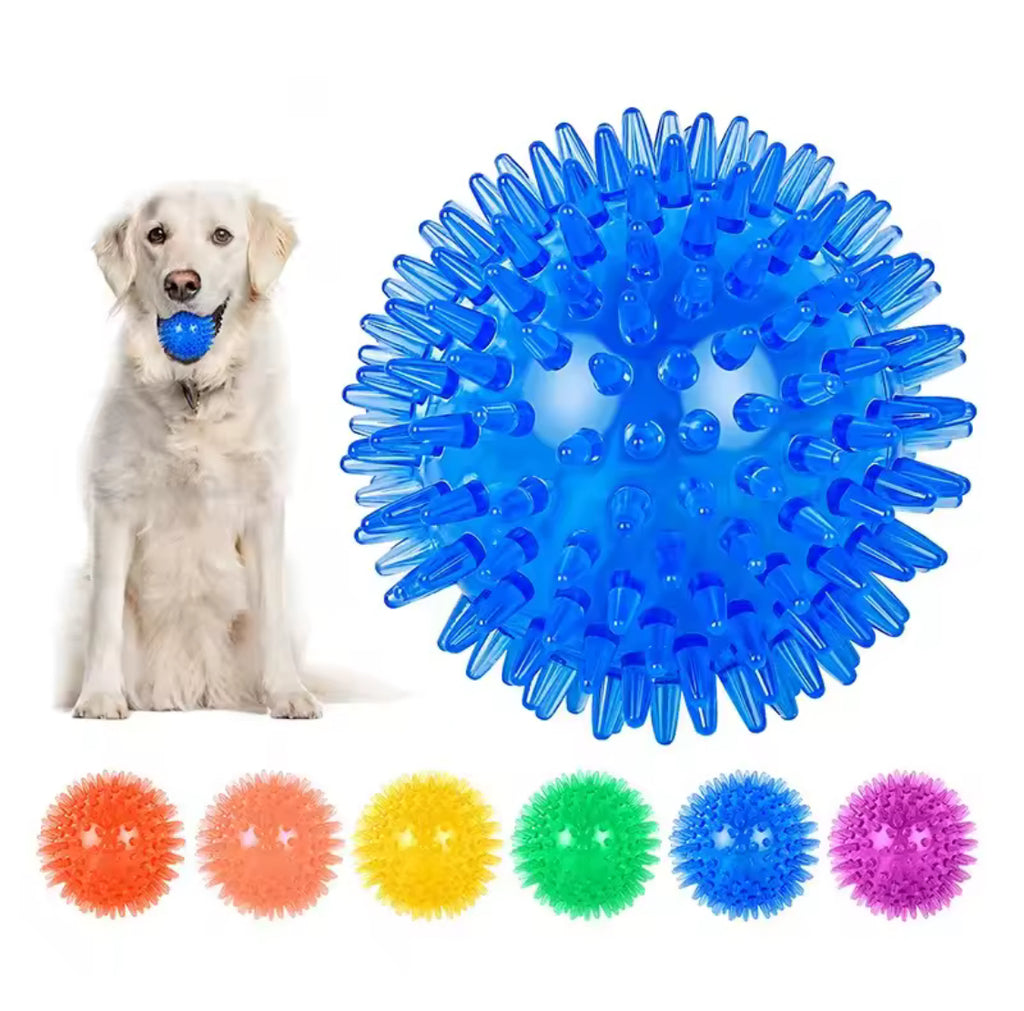Random Color Squeaky Thorn Ball – Dog & Cat Chew Toy | Teeth Cleaning & Training Ball (TPR Material)