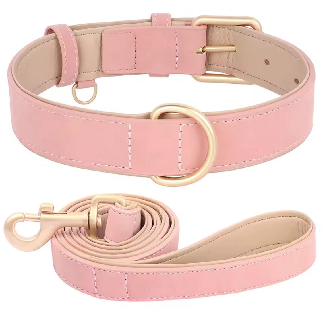 Soft Padded PU Leather Dog Collar & Leash Set for Small Dogs