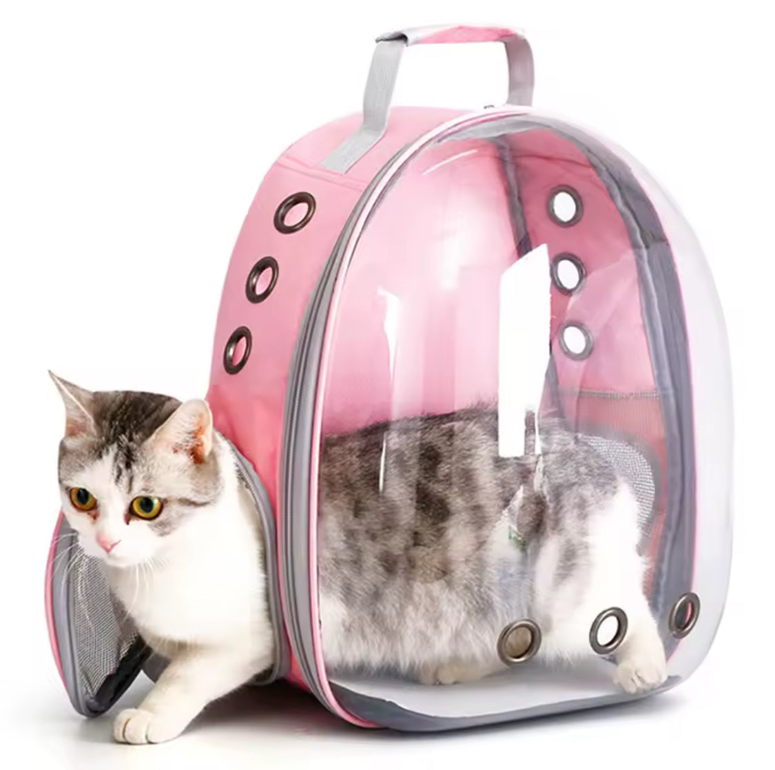 Cat Backpack Carrier | Transparent Bubble Pet Travel Bag