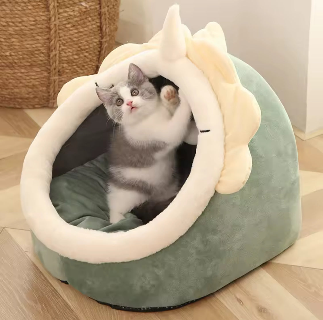 Deep Sleep Cat Bed | Foldable Cartoon Cave Bed for Cats & Dogs