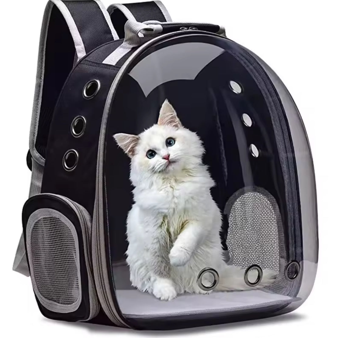 Cat Backpack Carrier | Transparent Bubble Pet Travel Bag