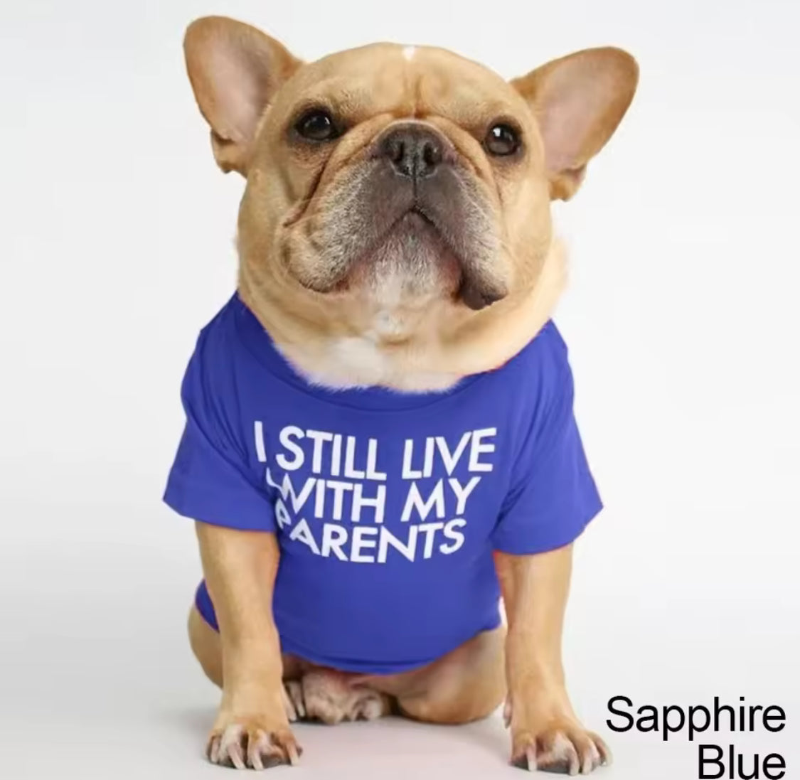 Breathable Summer Dog T-Shirt – Soft Letter Print for Small Dogs