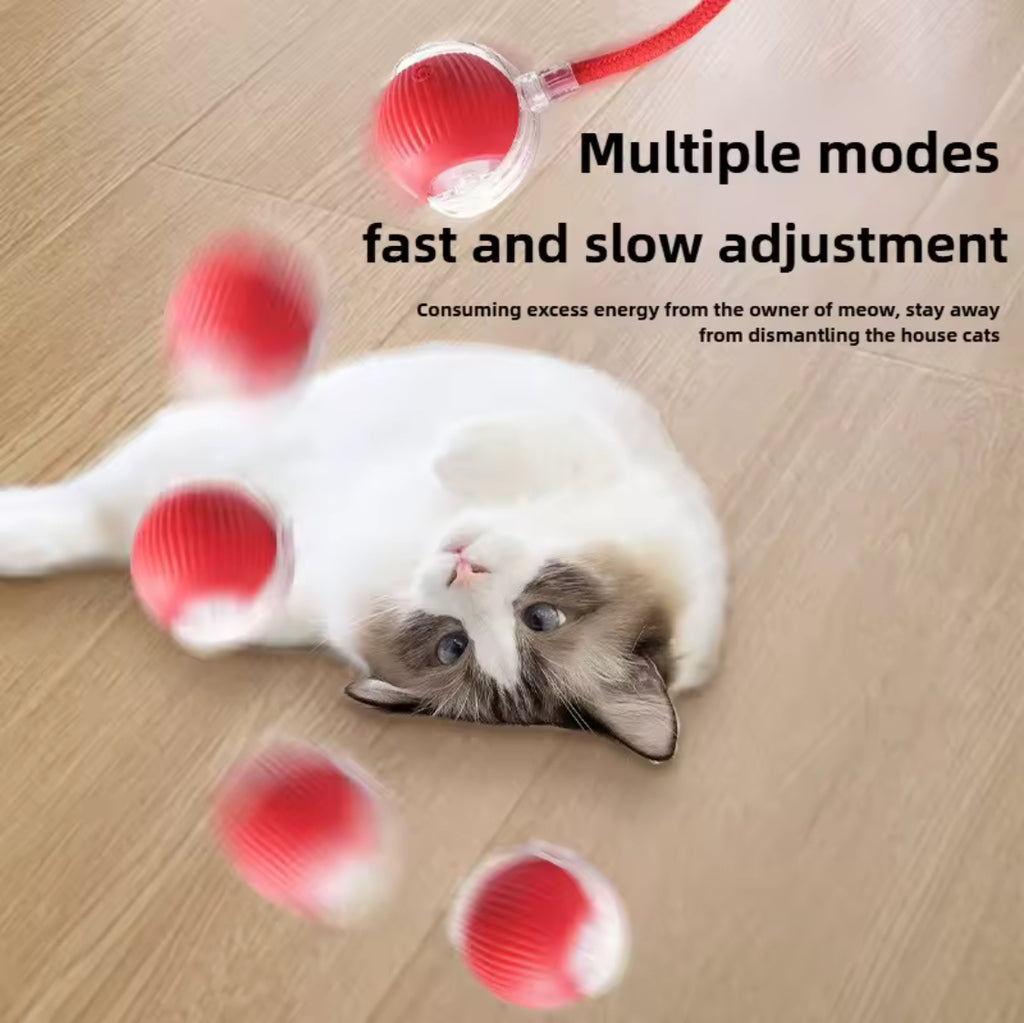 Smart Rechargeable Cat Toy Ball