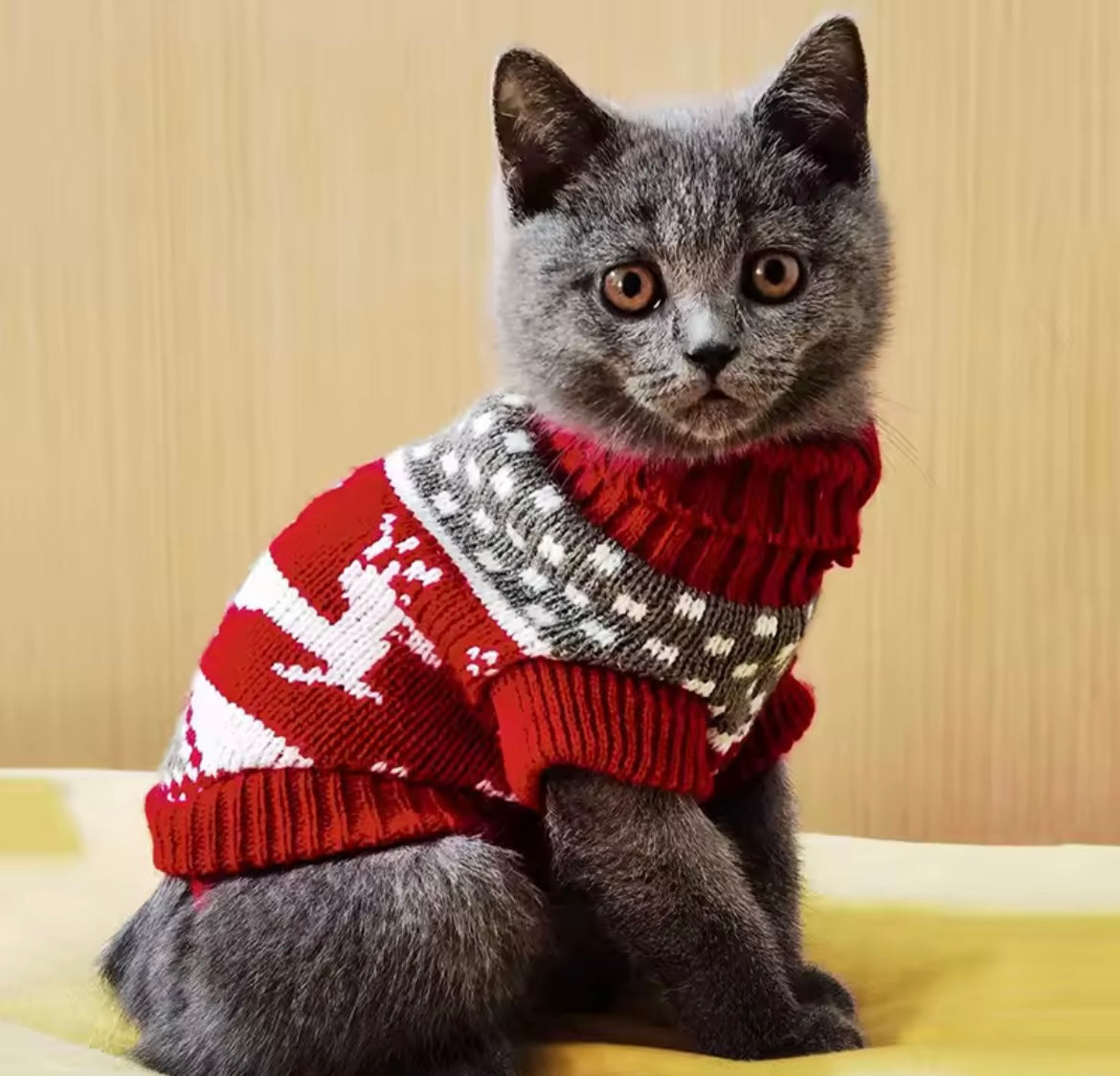 Cute Winter Cat Sweater Warm Sphynx Pullover Cozy Pet Clothes for Cats