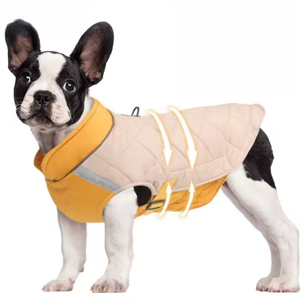 Winter Reflective Dog Coat Warm Thick Cotton Jacket for Pets