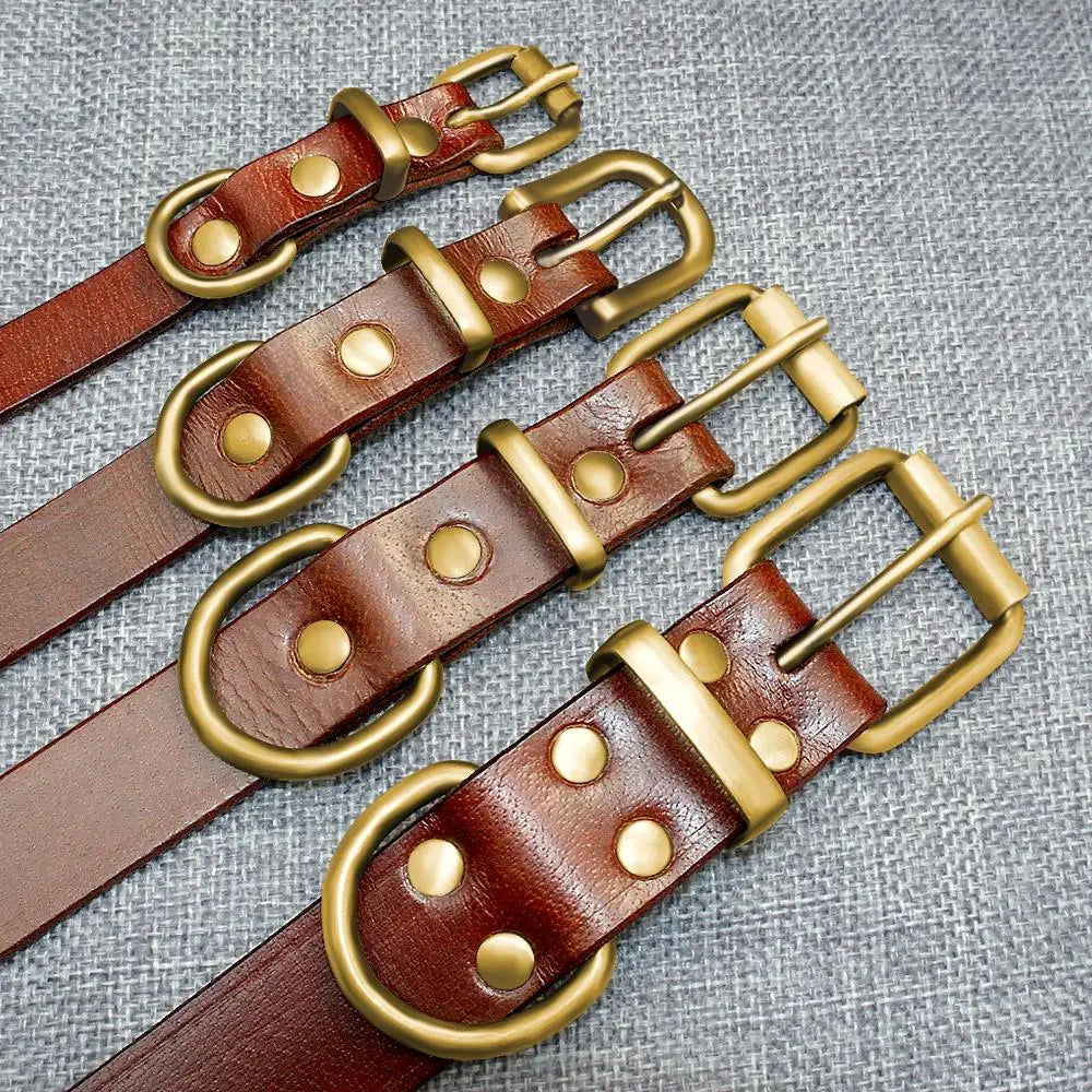 Personalized Leather Dog Collar Adjustable Custom Name ID