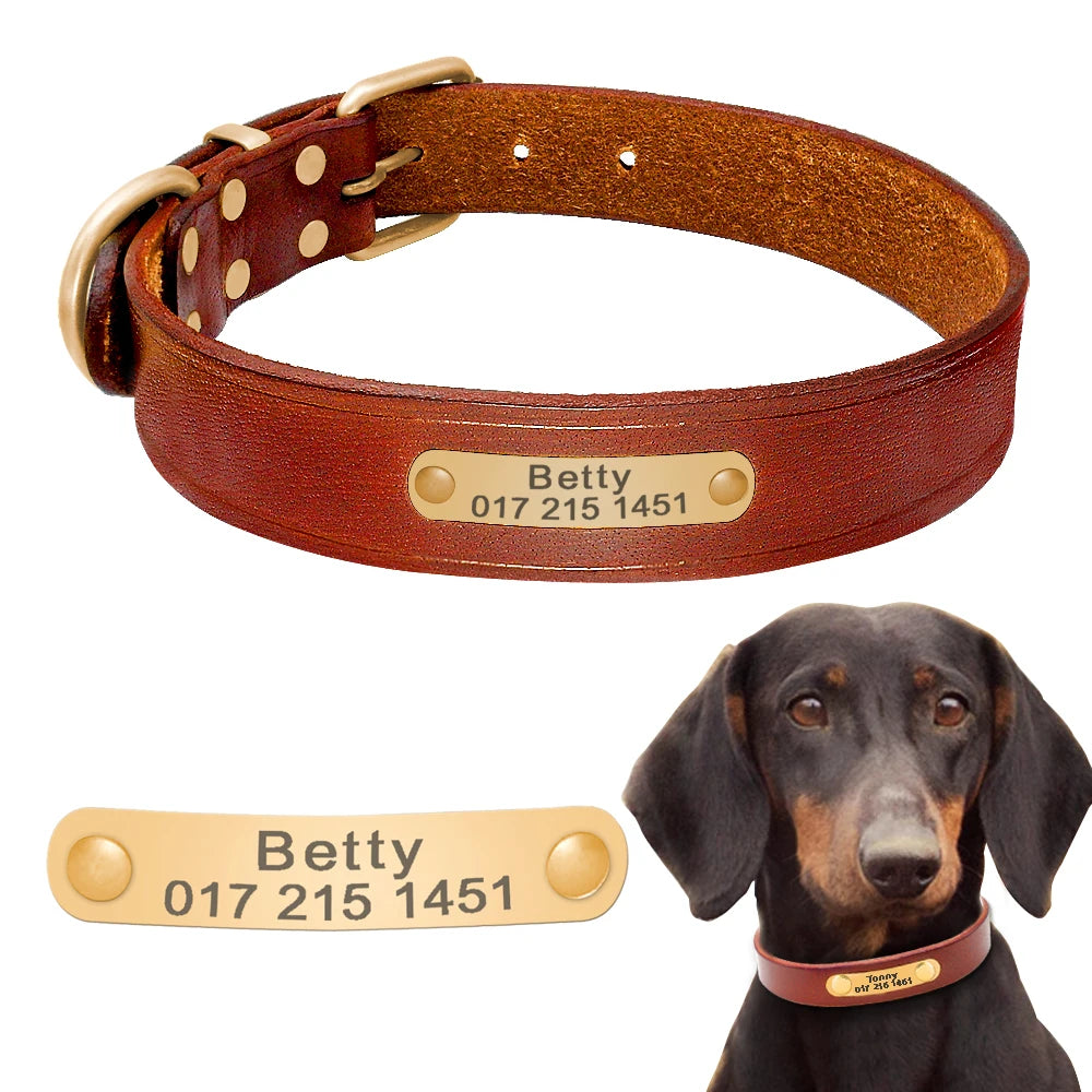 Personalized Leather Dog Collar Adjustable Custom Name ID