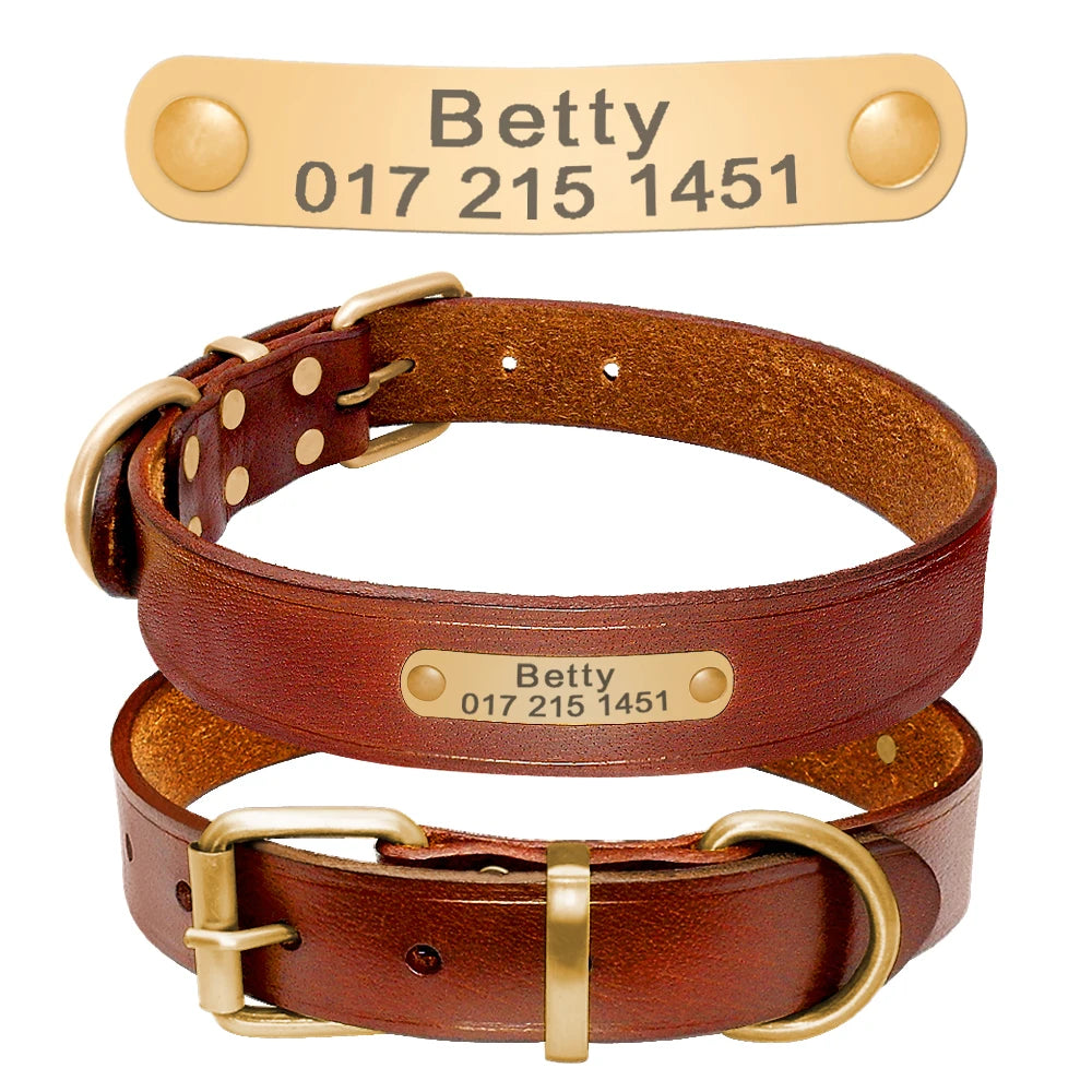 Personalized Leather Dog Collar Adjustable Custom Name ID