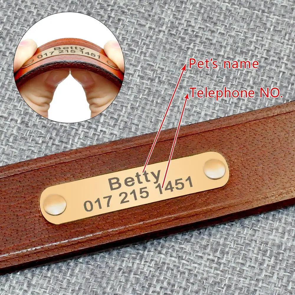 Personalized Leather Dog Collar Adjustable Custom Name ID