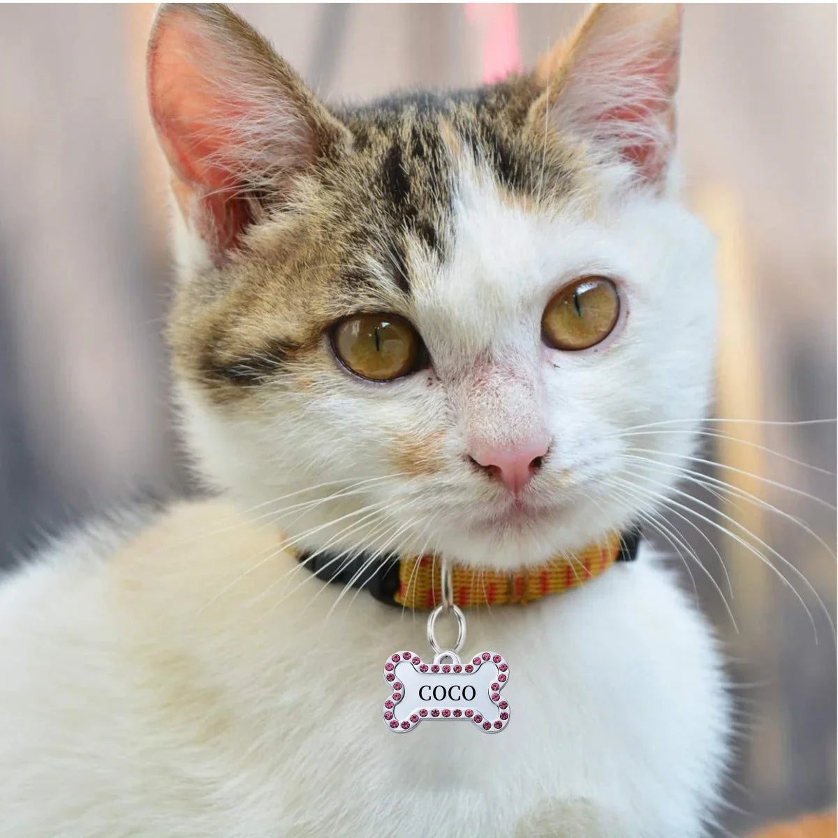 VIP Personalized Pet ID Tag Custom Engraved Nameplate Pendant