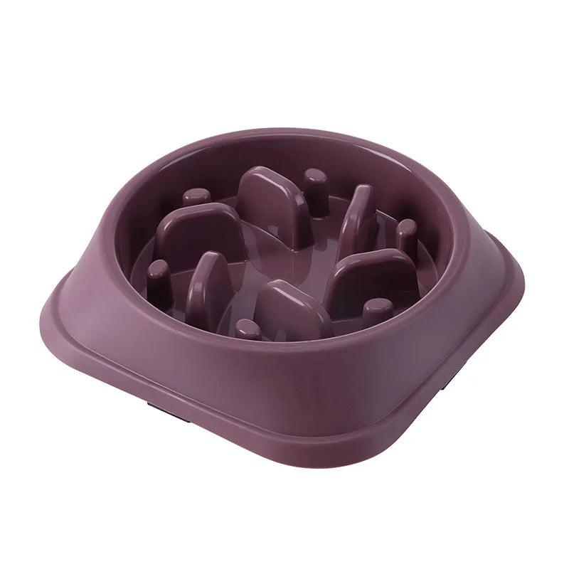Pet Slow Feeder Bowl  Anti-Choke Non-Slip Dog & Cat Bowl