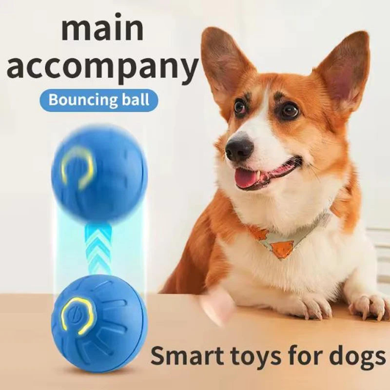 Smart Dog & Cat Toy Ball Automatic Interactive Pet Play