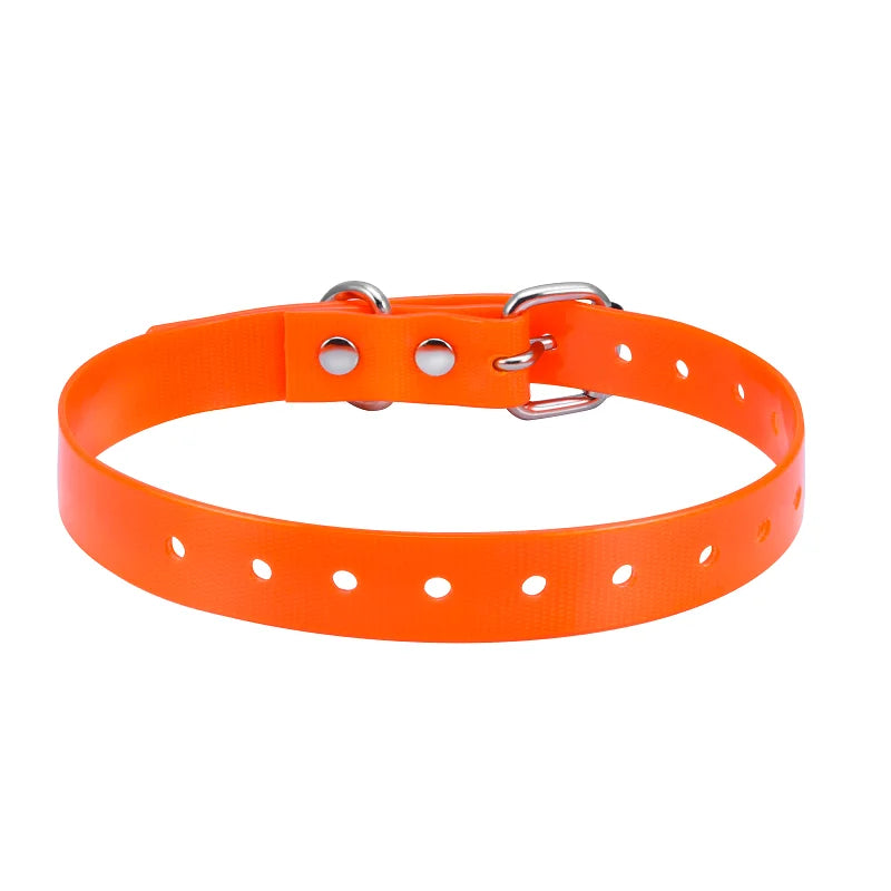 Personalized Dog & Cat Collar Adjustable Custom Pet Collar