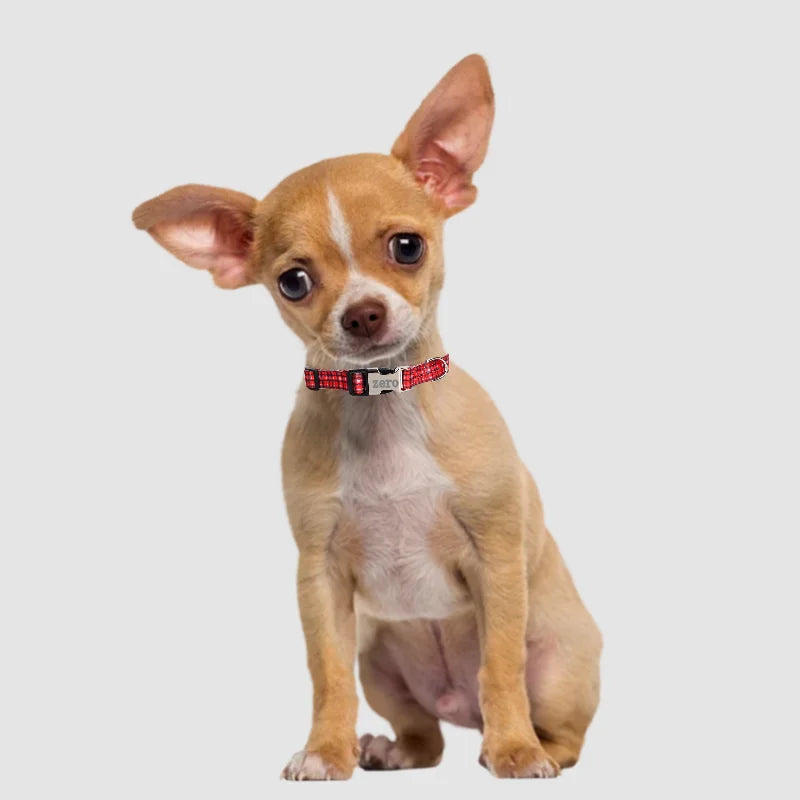 Personalized Nylon Dog Collar with Free Engraved ID Tag