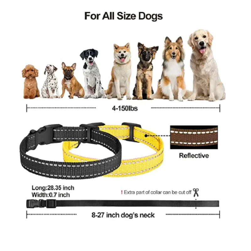 Personalized Dog & Cat Collar Adjustable Custom Pet Collar