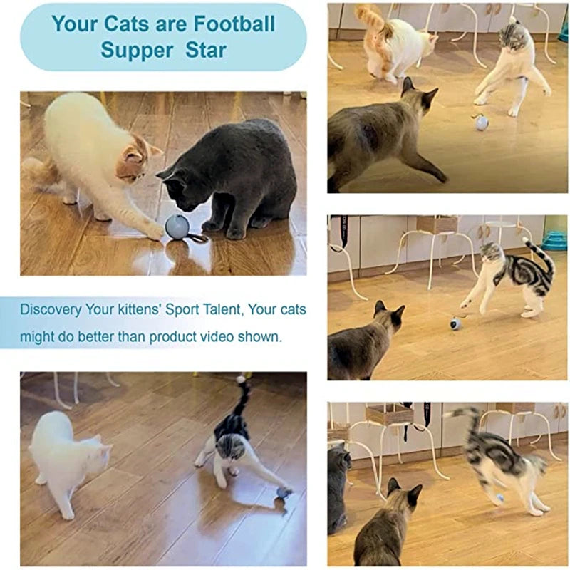 AI Smart Cat Toy Ball | USB Rechargeable Auto Moving Pet Ball