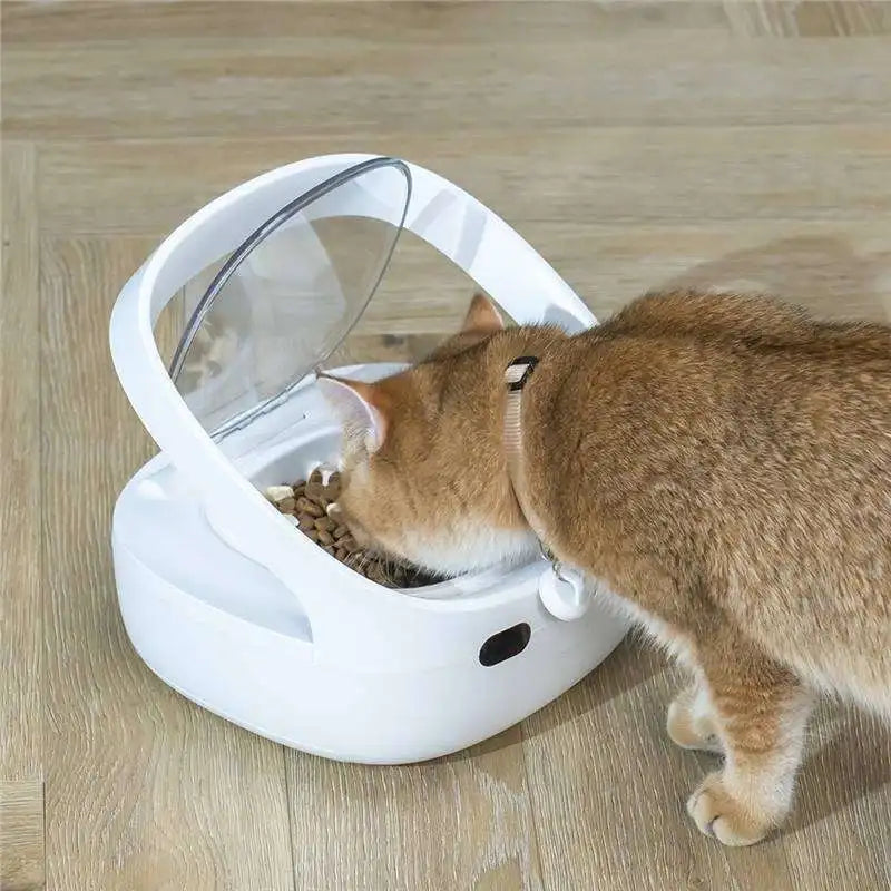 WiFi Smart Pet Feeder  App Control & Sensor Feeding for Cats & Dogs