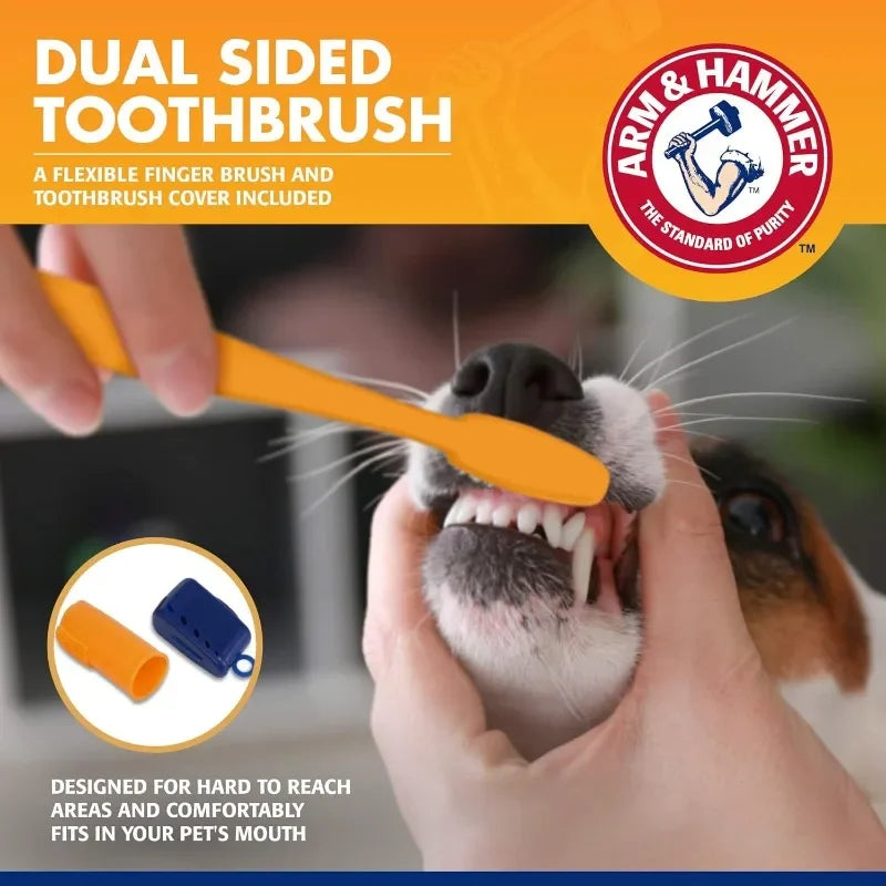 Pet Toothpaste & Toothbrush Set Dog & Cat Oral Care Kit