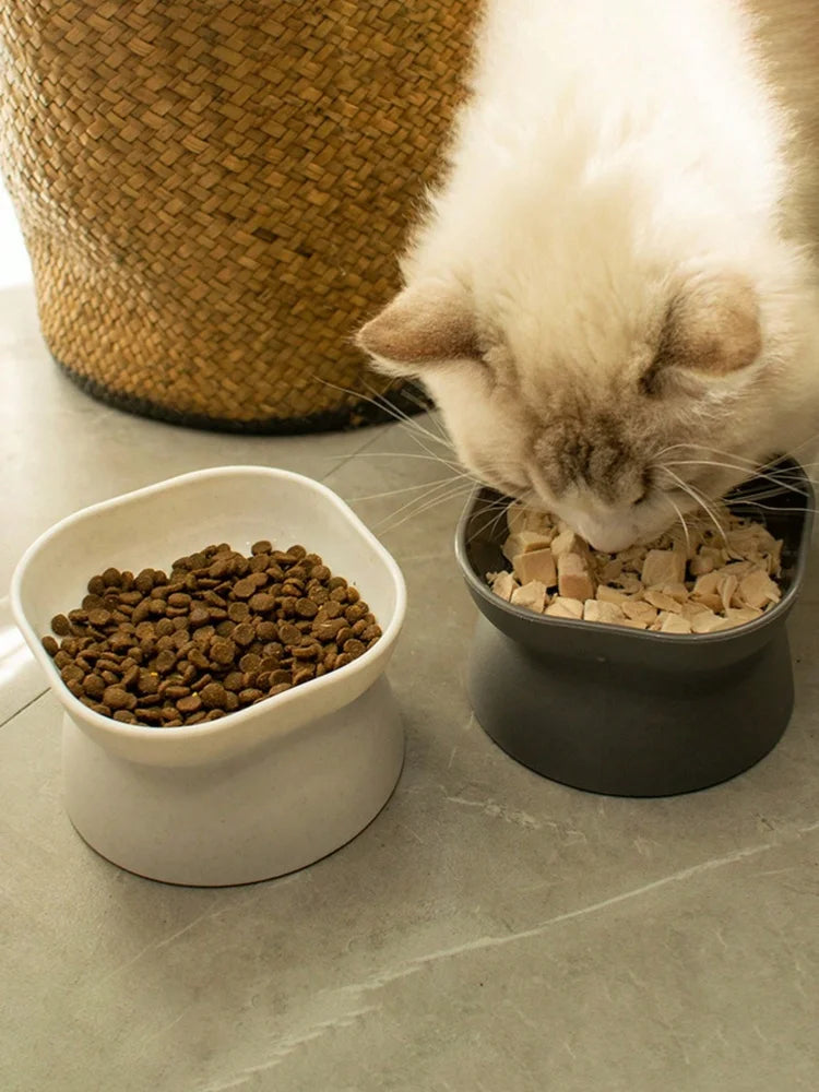 1Pc Pet Bowl  Water & Food Feeder for Cats and Small Dogs