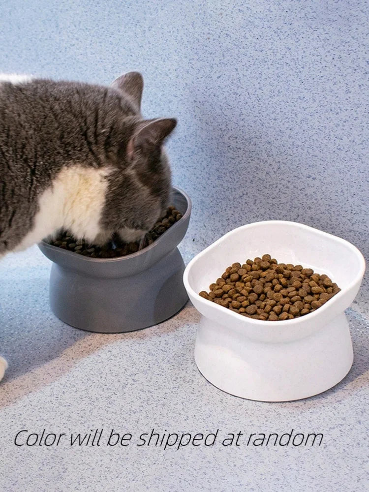 1Pc Pet Bowl  Water & Food Feeder for Cats and Small Dogs
