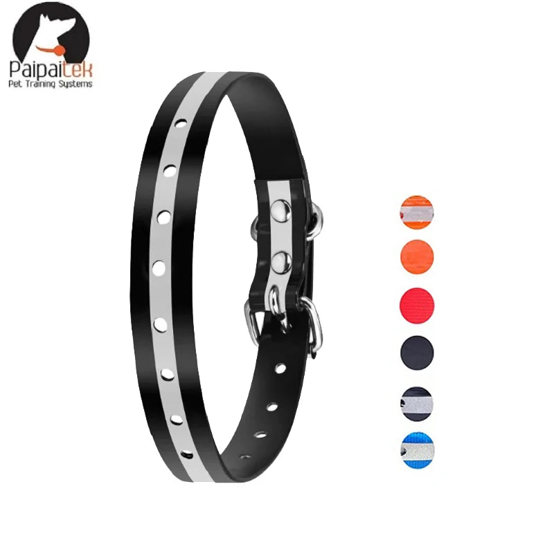 Personalized Dog & Cat Collar Adjustable Custom Pet Collar