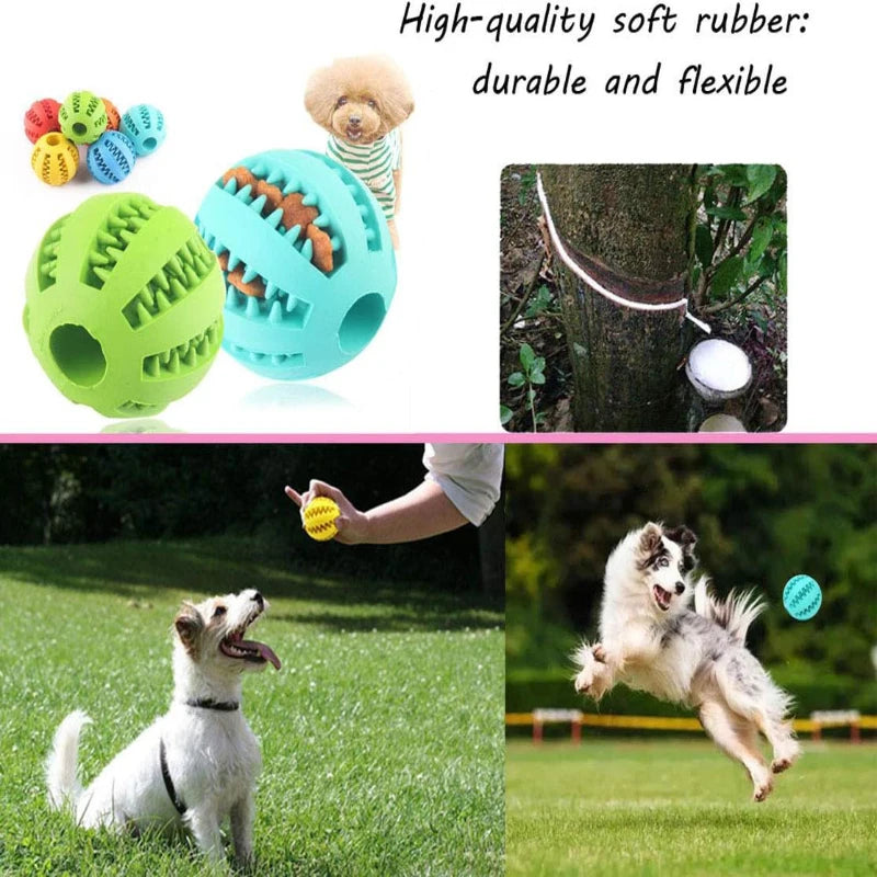 Interactive Dog & Cat Toy Ball Chew & Treat Feeder Toy