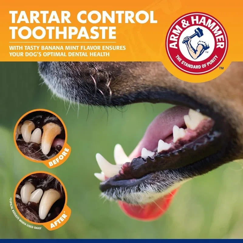 Pet Toothpaste & Toothbrush Set Dog & Cat Oral Care Kit