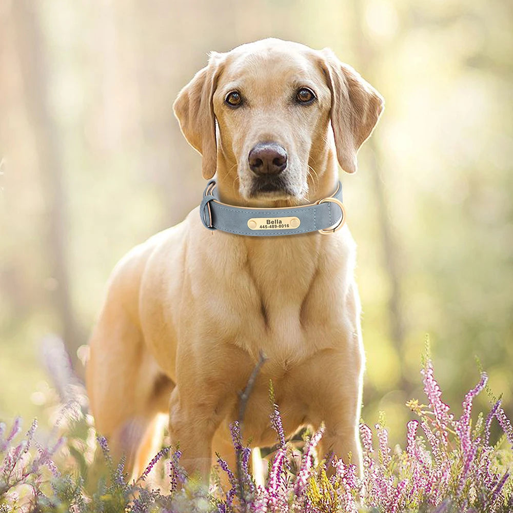 Personalized PU Leather Dog Collar Free Engraved Name ID