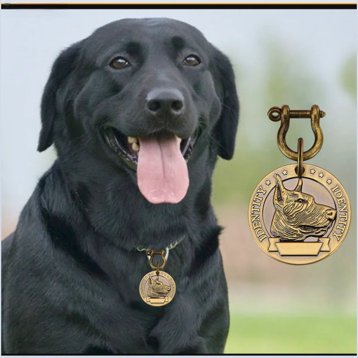 VIP Personalized Pet ID Tag Custom Engraved Nameplate Pendant