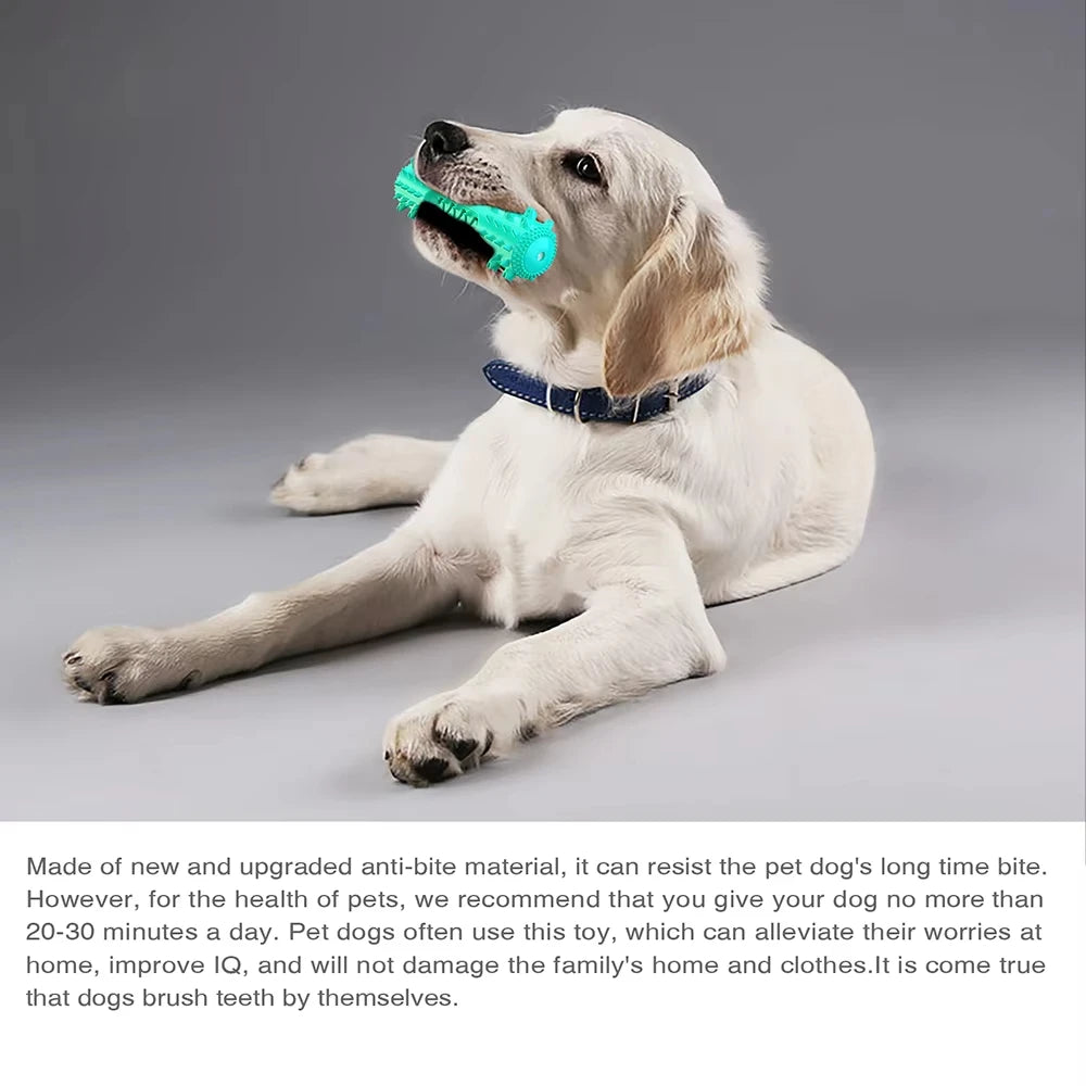 Rectangular Dog Chew Toy Soft Squeaky Teeth-Cleaning Toy