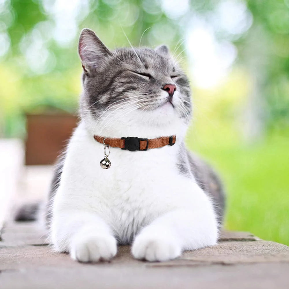Custom Embroidered Cat & Dog Collar Adjustable Nylon ID Collar