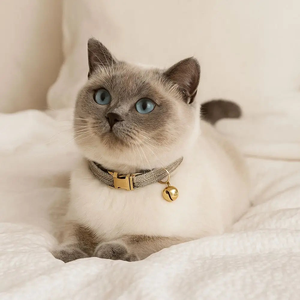 Adjustable Cat & Dog Collar with Bell Personalized Pet Necklace