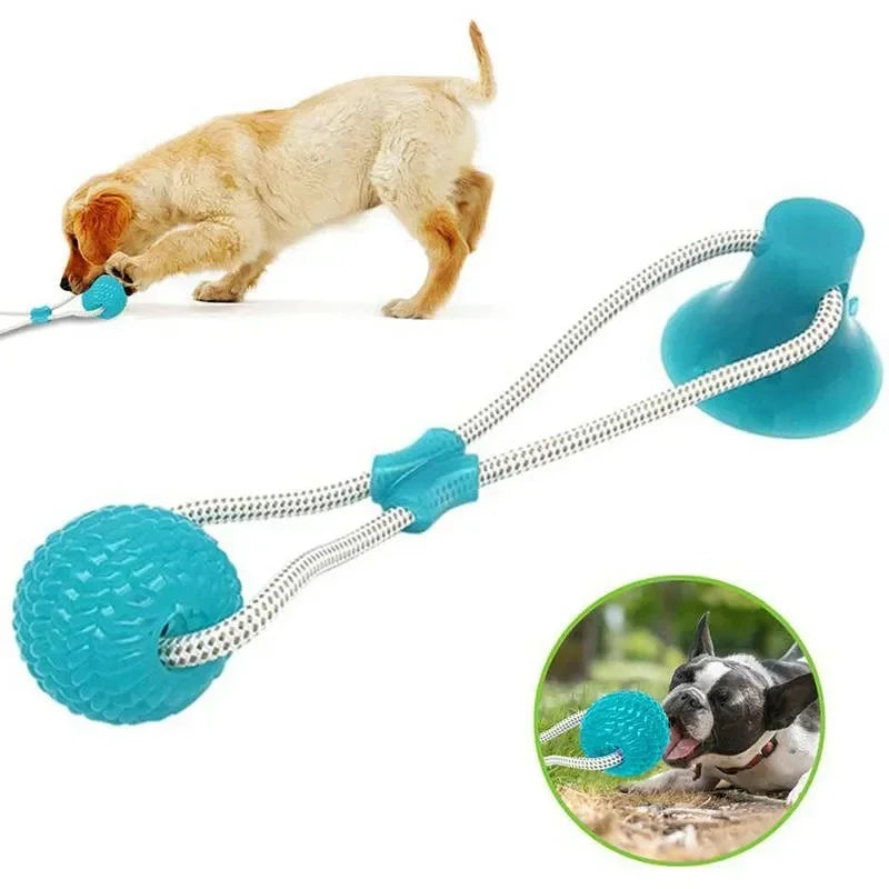 Rubber Dog Push Toy Small Dog Chew & Teeth Cleaning Toy