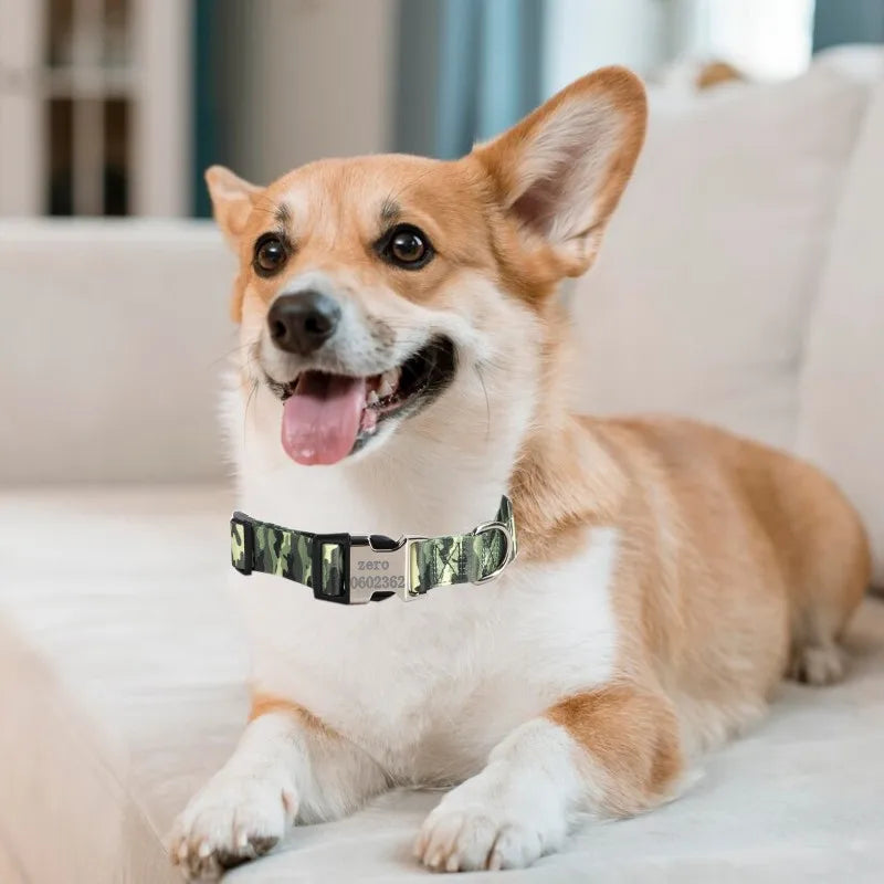 Personalized Nylon Dog Collar with Free Engraved ID Tag