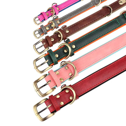 Customized Leather Dog Collar